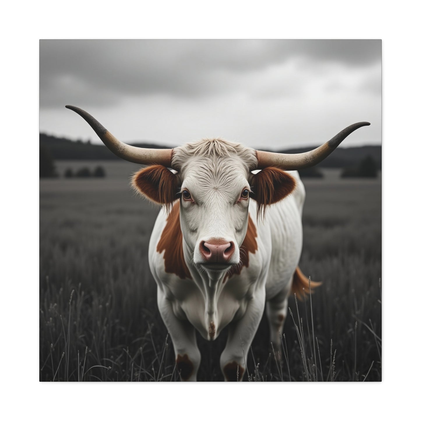 Longhorn Canvas Art