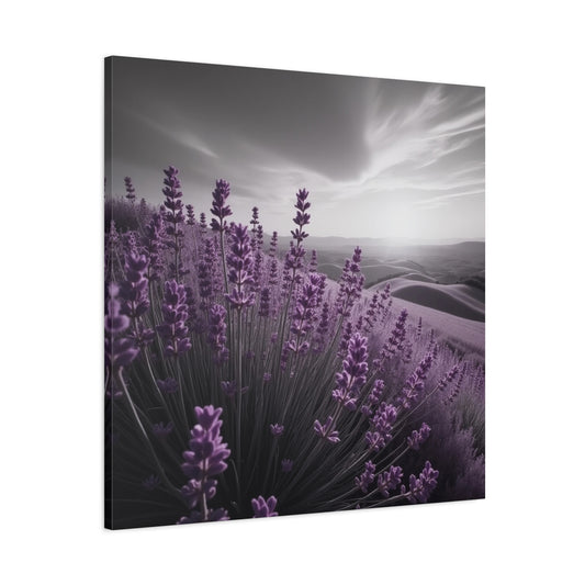 Lavender Hills Canvas Art