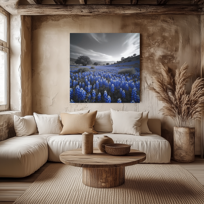 Bluebonnets Canvas Art Texas 